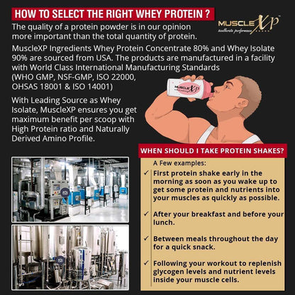 MuscleXP 100% Whey Protein - 2Kg (4.4 lbs), Double Rich Chocolate - The New Whey Standards
